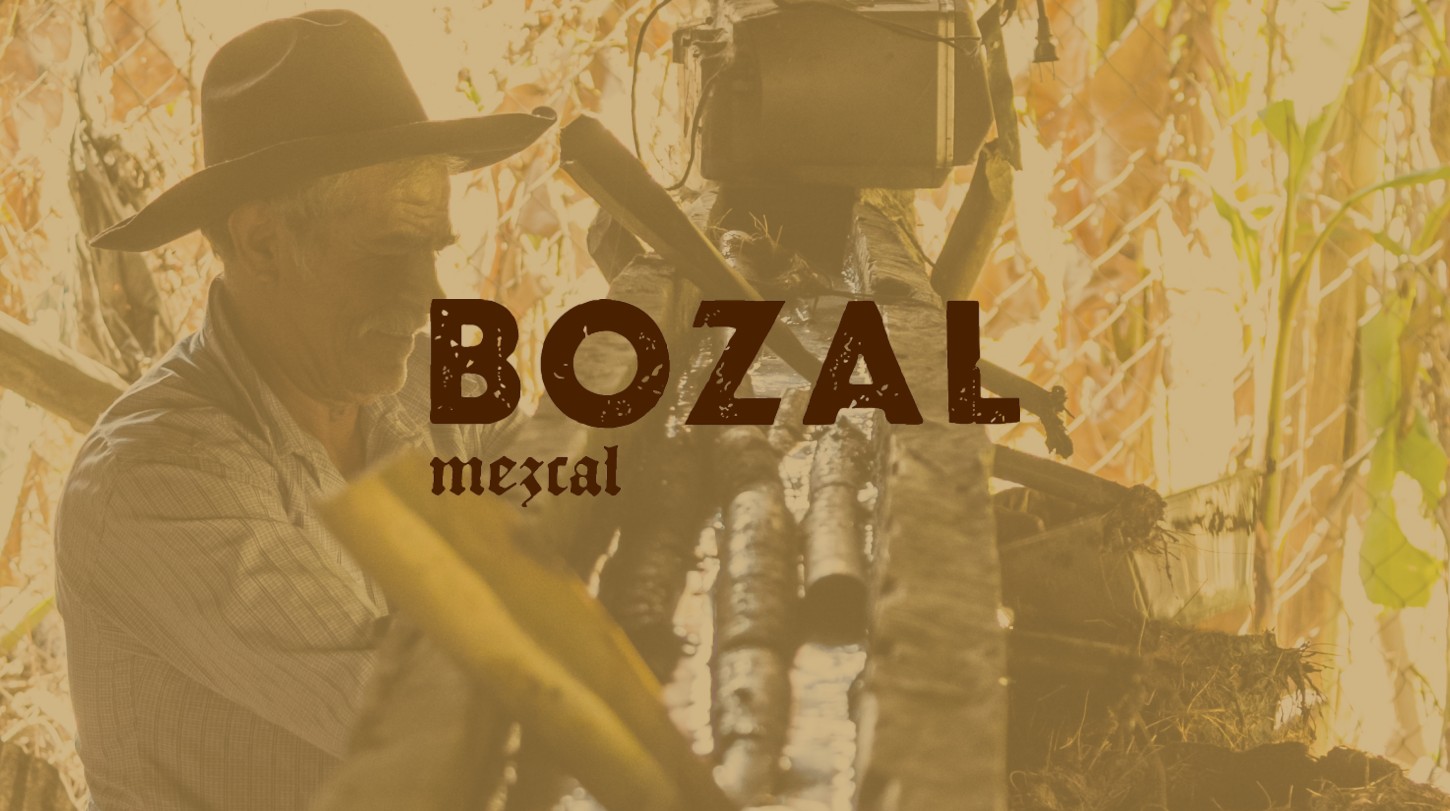 Where is Bozal Mezcal From